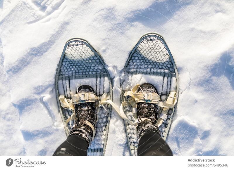 Crop person in snowshoes standing on snow traveler tourist nature weather winter hiker journey lapland wintertime norway ground cold frozen season adventure leg