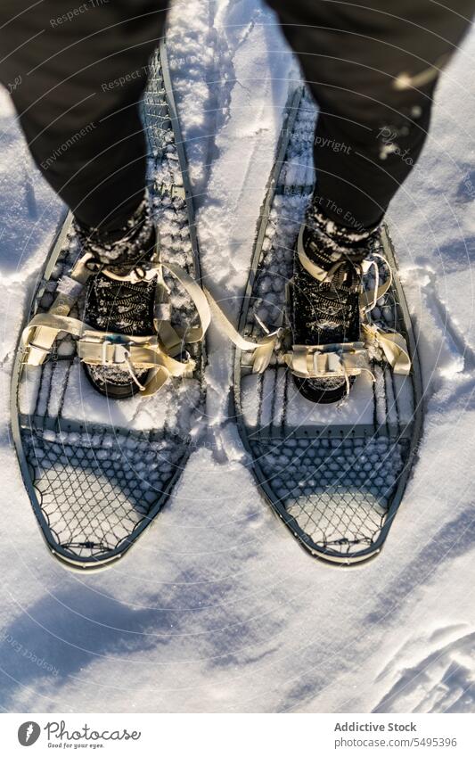 Crop person in snowshoes standing on snow traveler tourist nature weather winter hiker journey lapland wintertime norway ground cold frozen season adventure leg