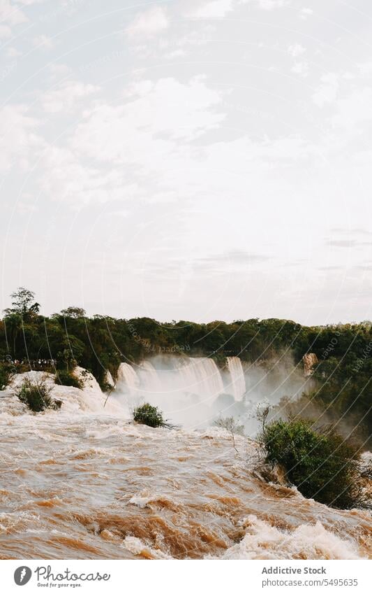 Majestic view of many cascades of water flowing under cloudy sky spectacular forest landscape environment river highland nature green daylight scenery iguazu