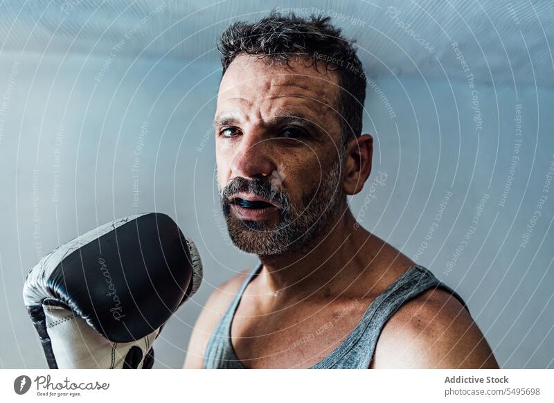 Bearded adult man in boxing gloves standing in room with blue wall in daylight confident portrait boxer sport training serious male bare shoulders sportswear