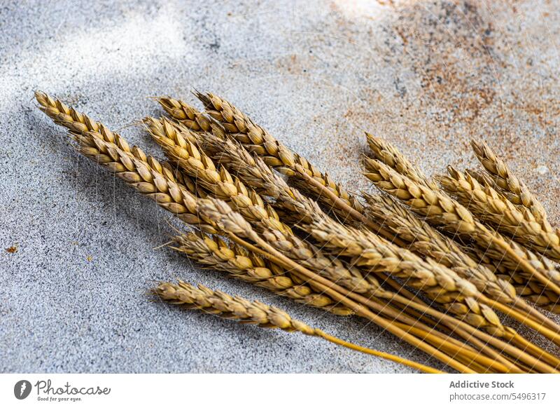 Summer table setting with wheat arrangement gray surface background daylight high angle from above empty wooden organic decorative decoration homemade cereal