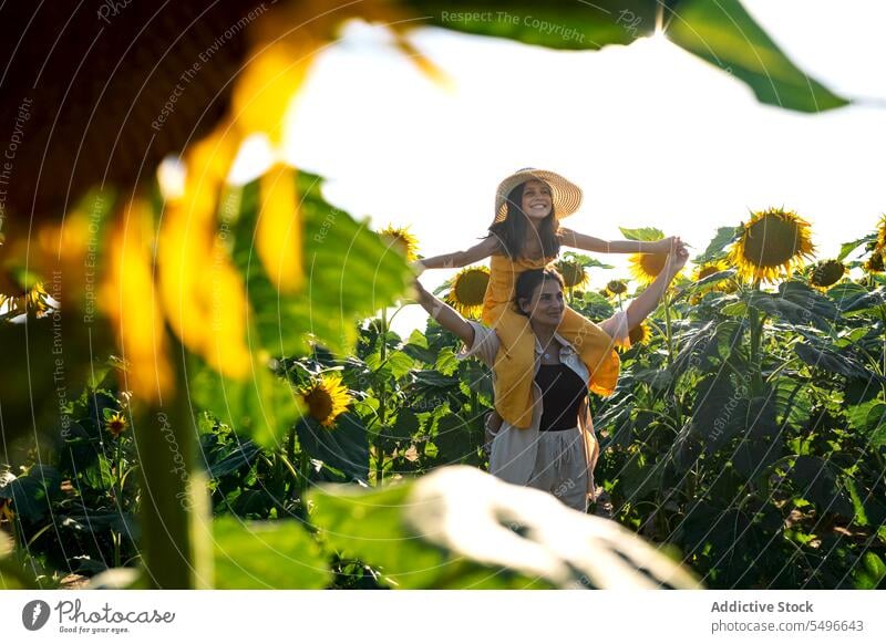 Woman carrying girl on shoulders in sunflower field mother daughter summer smile woman weekend family child clear sky love holiday lifestyle adorable together