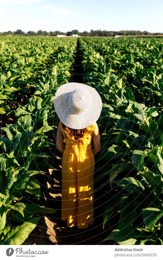 Back view of anonymous girl standing amidst plants at farm agriculture landscape summer child weekend nature hat casual attire lifestyle lush grow crop rural