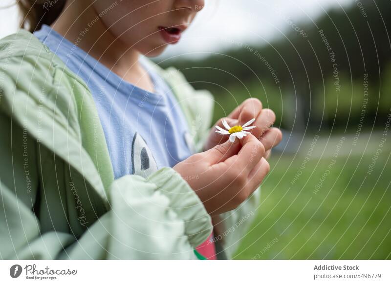 Anonymous kid in jacket standing on sidewalk of green park in daylight child flower concentrate path cute calm girl focus childhood adorable casual charming