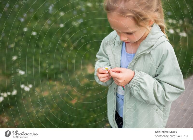 kid in jacket standing on sidewalk of green park in daylight child flower concentrate path cute calm curious girl focus childhood adorable casual charming