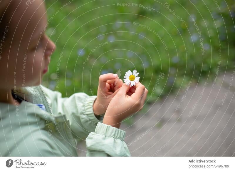 Pensive kid in jacket standing on sidewalk of green park in daylight child flower concentrate path cute calm girl focus childhood adorable casual charming