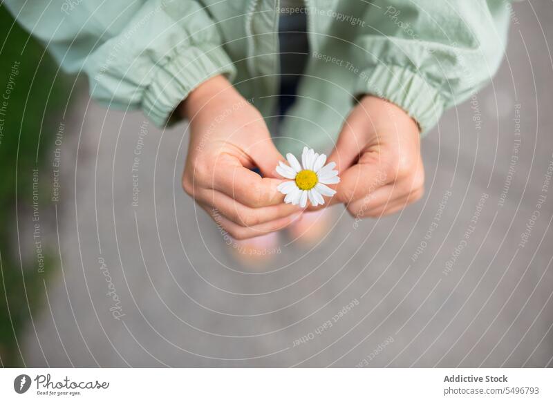 Unrecognizable kid in jacket standing on sidewalk of green park in daylight child flower path cute curious focus childhood adorable casual charming summer