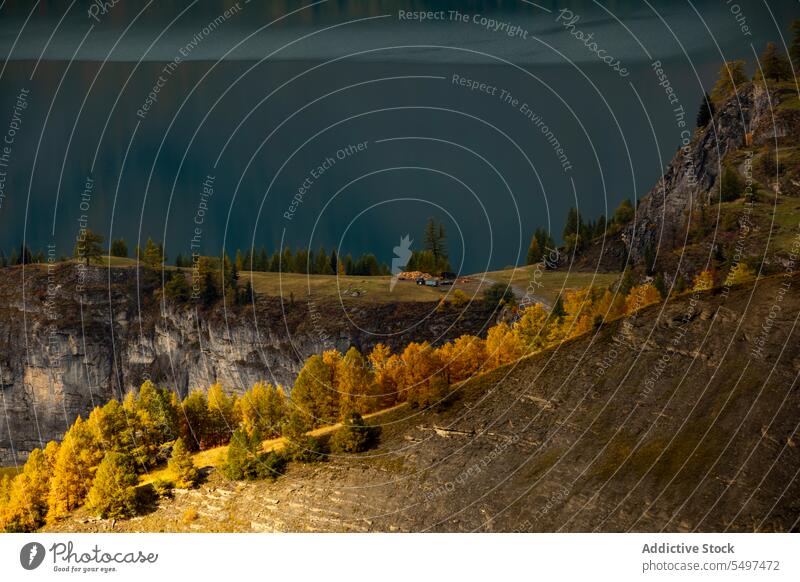 Autumn forest in the mountains on a dark afternoon autumn landscape nature range environment picturesque scenery tree yellow woods sky valley crans fall