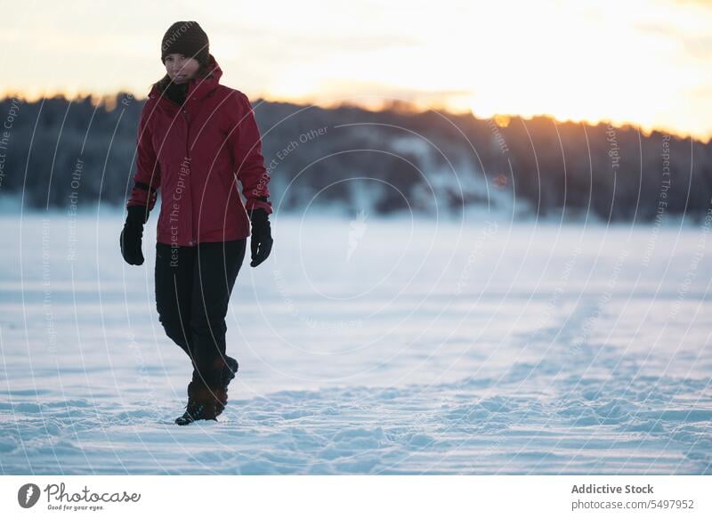 Happy woman walking on snowy path near woods traveler winter forest tree stroll female tourist lapland finland arctic nordic vacation weekend adventure explore