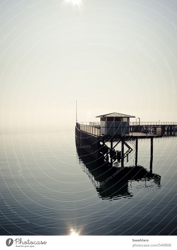 At the lake Swimming pool Nature Sky Cloudless sky Sun Sunlight Winter Weather Beautiful weather Fog Lakeside Lake Constance Port City Deserted Building Blue