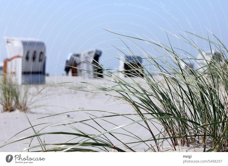 Summer at the North Sea Beach North Sea beach Beach chair marram grass Sand Sky Beautiful weather vacation holidays Relaxation Summer vacation Vacation & Travel