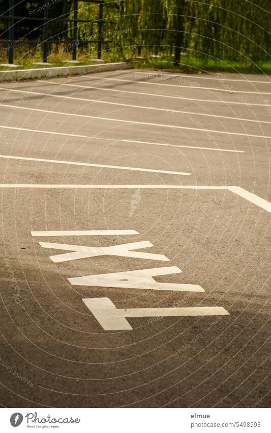 empty parking lot with parking space marking for TAXIS Parking lot Parking space Taxi Taxi rank Cab parking Asphalt Special parking right free parking