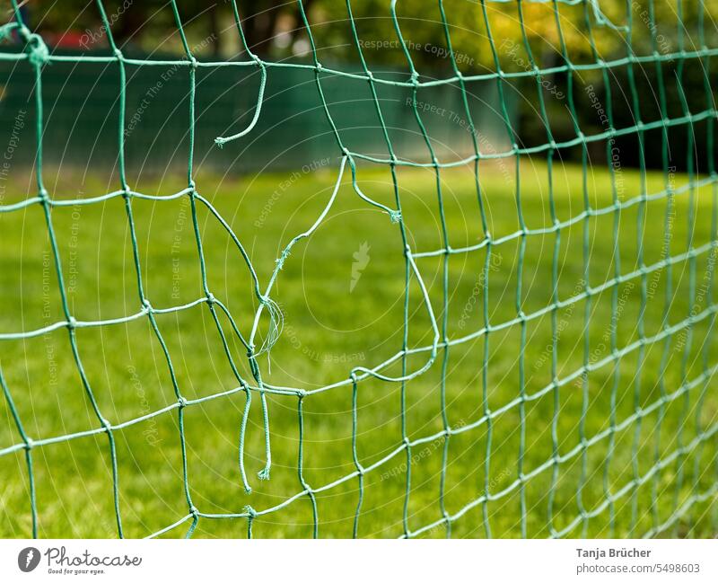 Hole in the net Network Hollow Broken network Catching net green network destructive rage Vandalism damage Ball catching net Nodes Rope Green disorientation