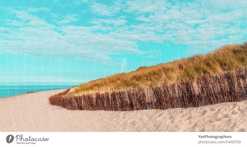 Beach scenery on Sylt island in North Sea, under a blue sky autumn background beach beautiful beauty bright coast coastline color dunes empty environment europe