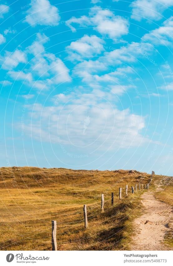 Nature scenery with the marram grass dunes and blue sky on Sylt island, Germany autumn background beach beautiful beauty bright coast coastline color empty