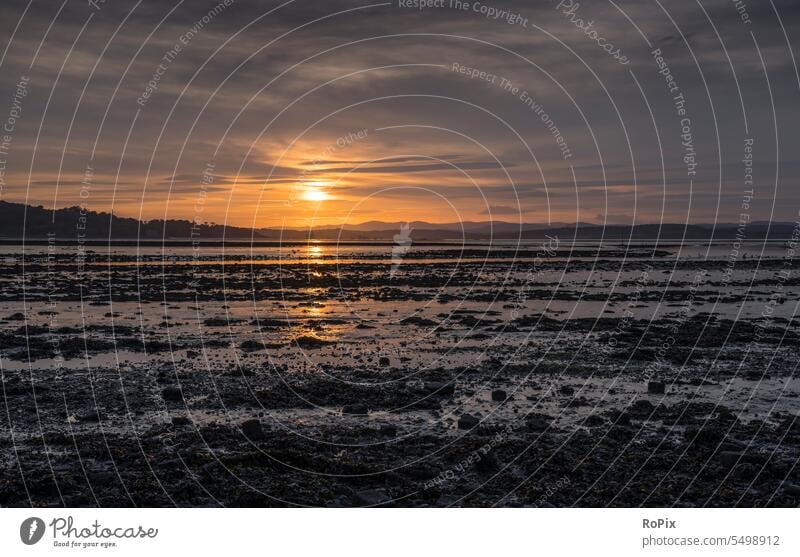 Sunset at Cramond beach. scotland Mud flats watt North Sea sunset evening mood Highlands coast Fleet sea ocean Habitat River reed Tide tides river Landscape