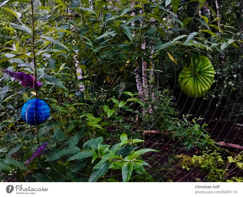 Lampignons hanging in birch forest industrial wasteland - after rave party decoration Decoration shrubby plants birches Forest Birch wood Bushes Nature Blue