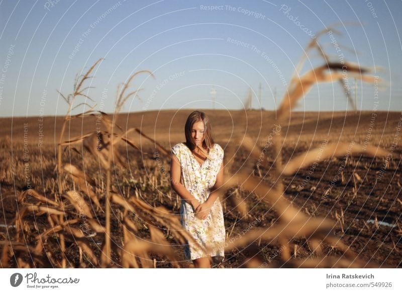 beautiful girl on the autumn field Young woman Youth (Young adults) Hair and hairstyles Face Arm Hand 18 - 30 years Adults Nature Landscape Earth Sky Sunlight