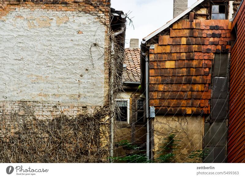 Old town Aschersleben anhalt aschersleben Building House (Residential Structure) Historic historic old town Small Town Light Wall (barrier) Medieval times