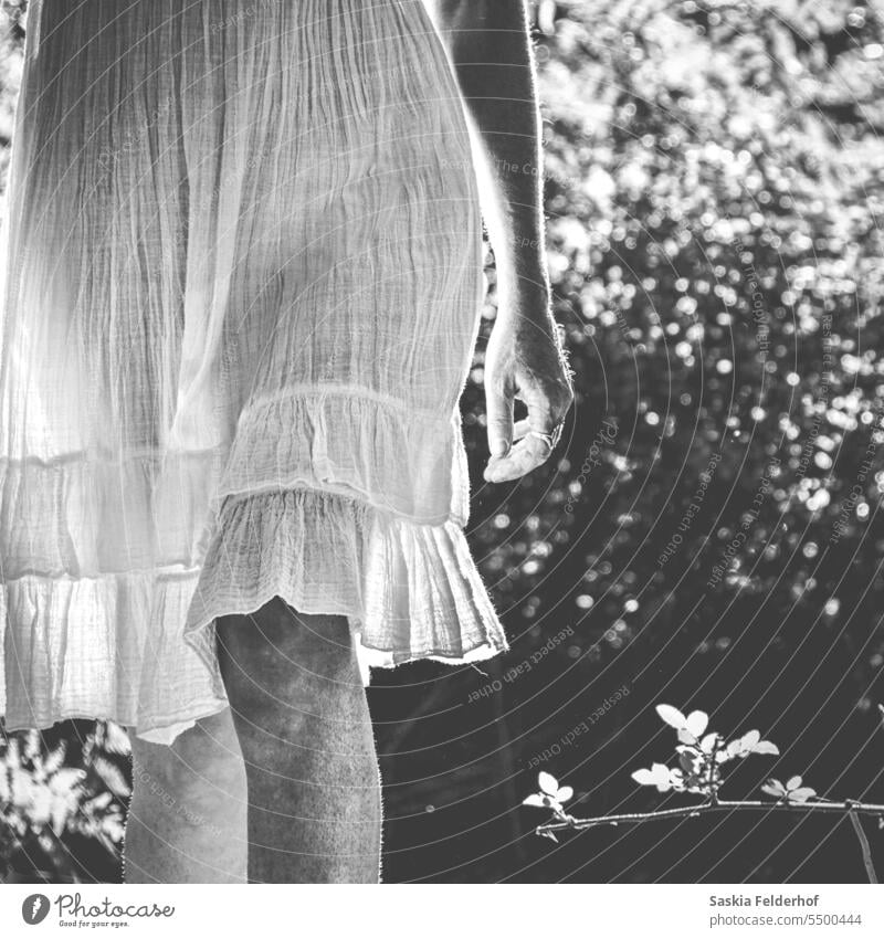 Woman in sheer dress, monochrome woman silhouette backlit sunlight contrast black white figure Feminine femininity movement sunshine shadow Shadow play female