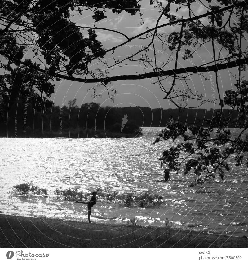 ballerina ballet dancer Elegant Stylish svelte Silhouette Dance pose Public Lake Lakeside wave Water sparkle Tree Clouds Sunlight Contrast Black & white photo