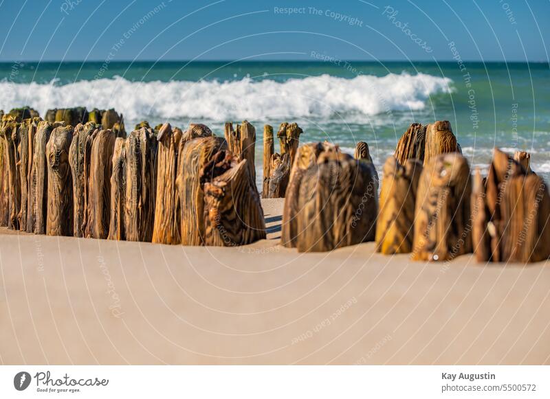 Structures on an old groyne Old groyne Break water structures Wood grain detail coastal protection breakwater swell Surf Waves North Sea Ocean wooden posts