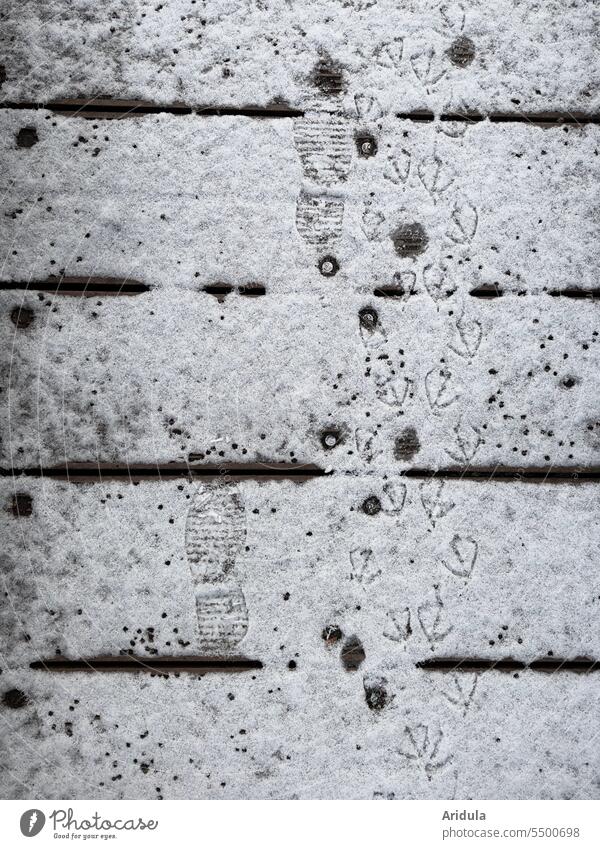 Parallel life | shoe prints and duck tracks in the snow on a boardwalk Tracks Traces of snow footprints Snow Duck Duck fins duck trail Imprint off Footbridge