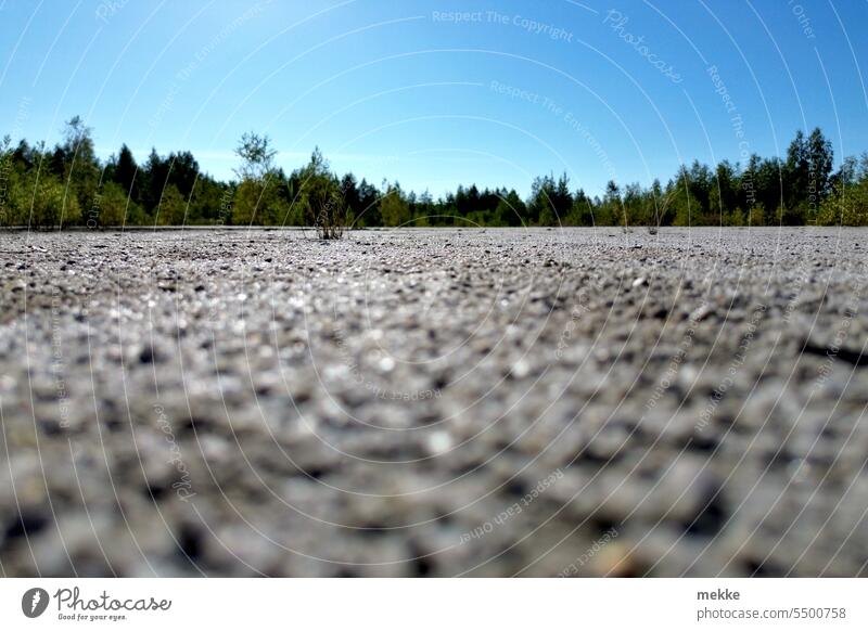 Low flight over the sand Sand Edge of the forest sandy soil Beach trees Nature Worm's-eye view Landscape Low-flying plane low flying Deep Vacation & Travel