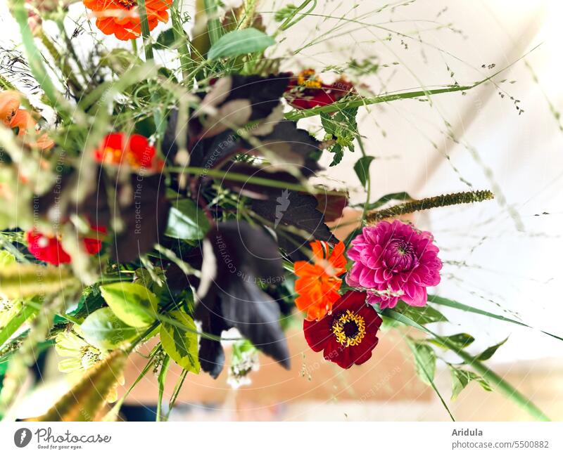 Late summer flower bouquet flowers Bouquet Summer grasses Decoration Flower Blossom dahlia zinnia Vase Pink pink Orange