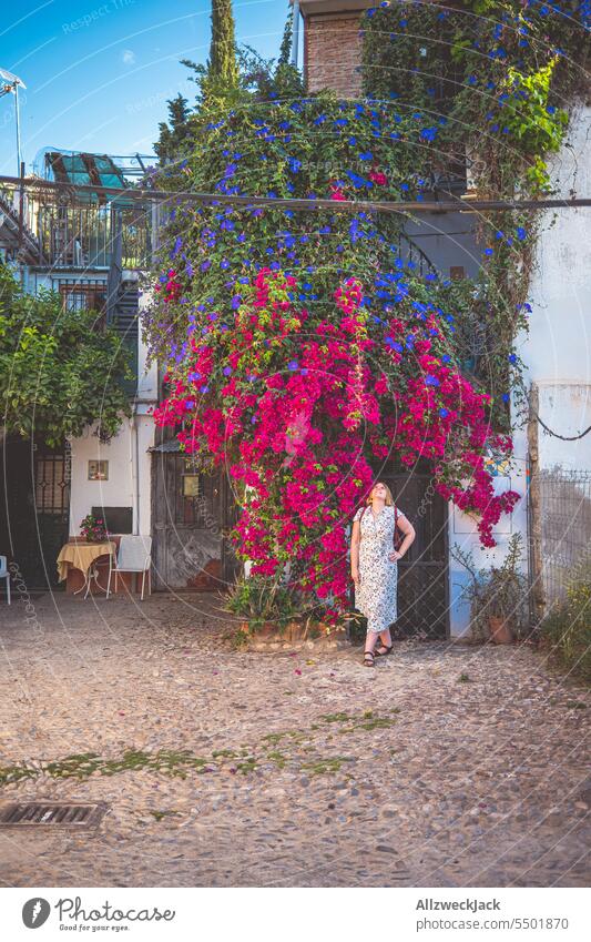 blonde middle aged woman with dress stands under huge purple flowering plant at house in spain Spain Summer Andalucia Granada Bougainvillea Purple Blossom