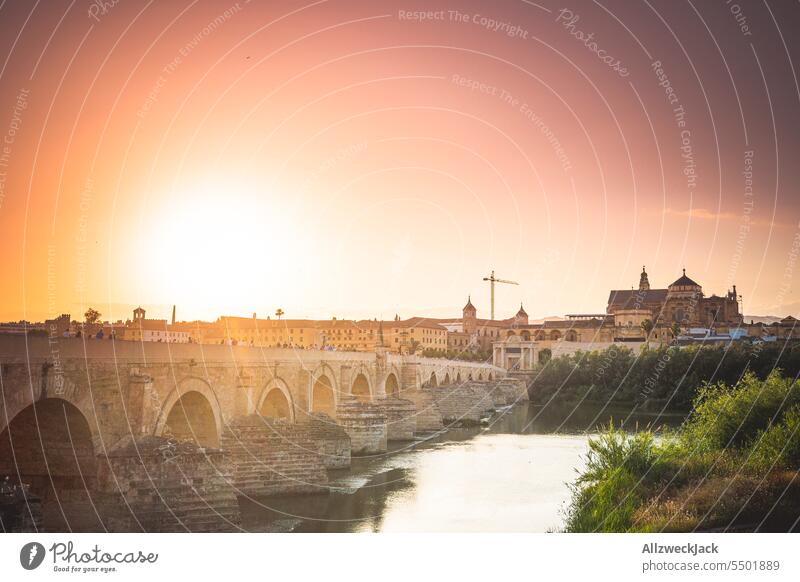 View along the Roman bridge in Cordoba at sunset Spain Andalucia Bridge River River bank Guadalquivir Summer Summer vacation Sunset Mirador Mezquita