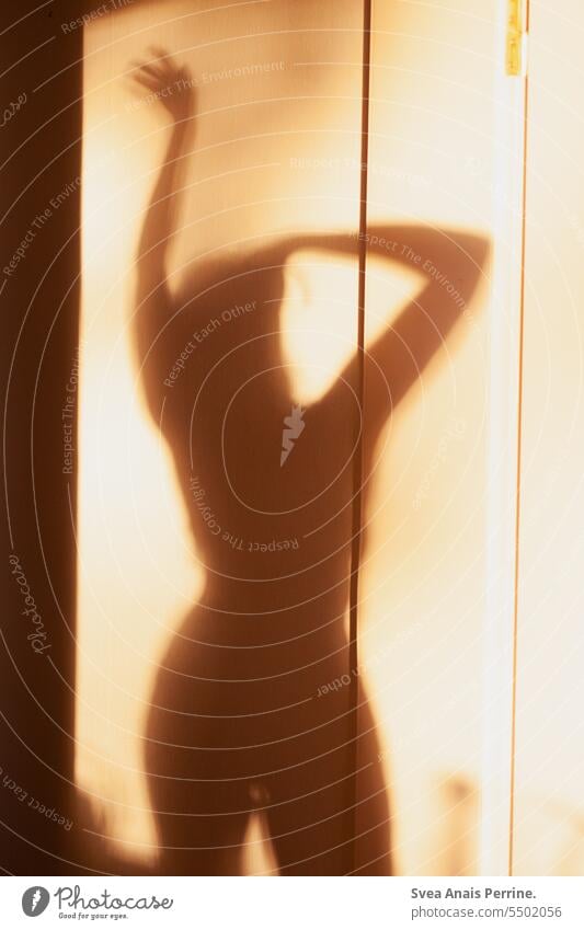 Shadow play in the sun Shadow image Woman feminine Eroticism Light Light (Natural Phenomenon) Sunlight Interior shot Colour photo Light and shadow Silhouette