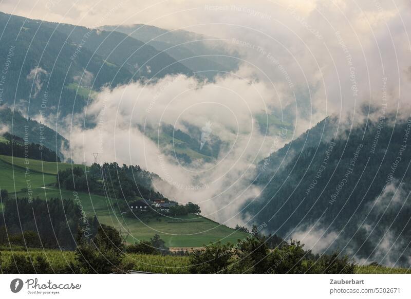 Landscape with hills, clouds, meadows in South Tyrol Hill Clouds Nature Hiking wanderlust Covered cloudy rainy Mountain Alps Meadow