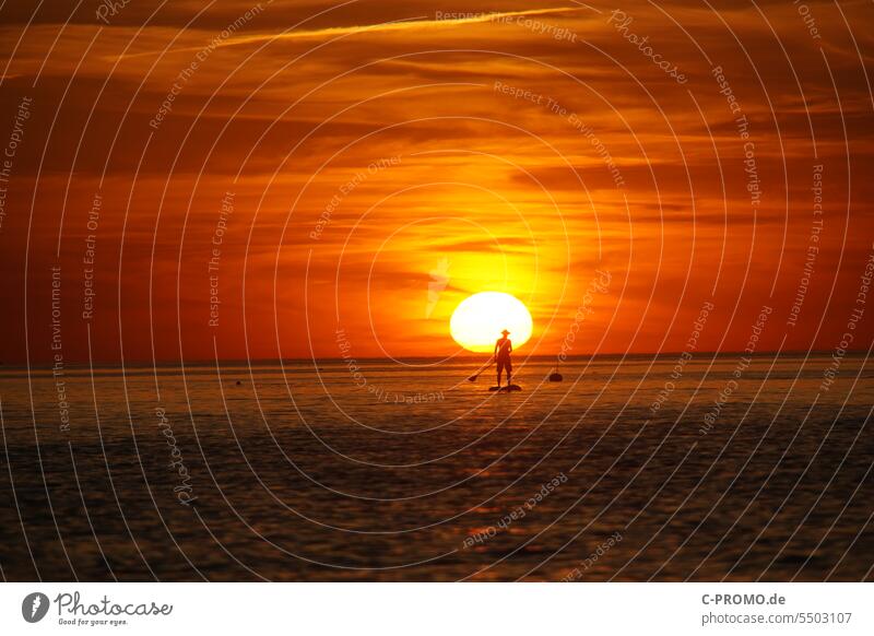 Man on SUP before sunset stand up paddling Ocean Sunset Aquatics Evening Paddle board Baltic Sea SEA Summer Water Sports