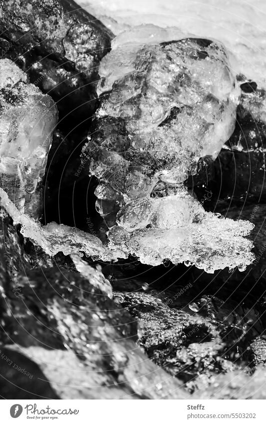 Natural ice formation at a waterfall in Iceland portrait Ice sculpture Ice portrait Head ice melting Block of ice Frozen Frost icily black-and-white shape iced