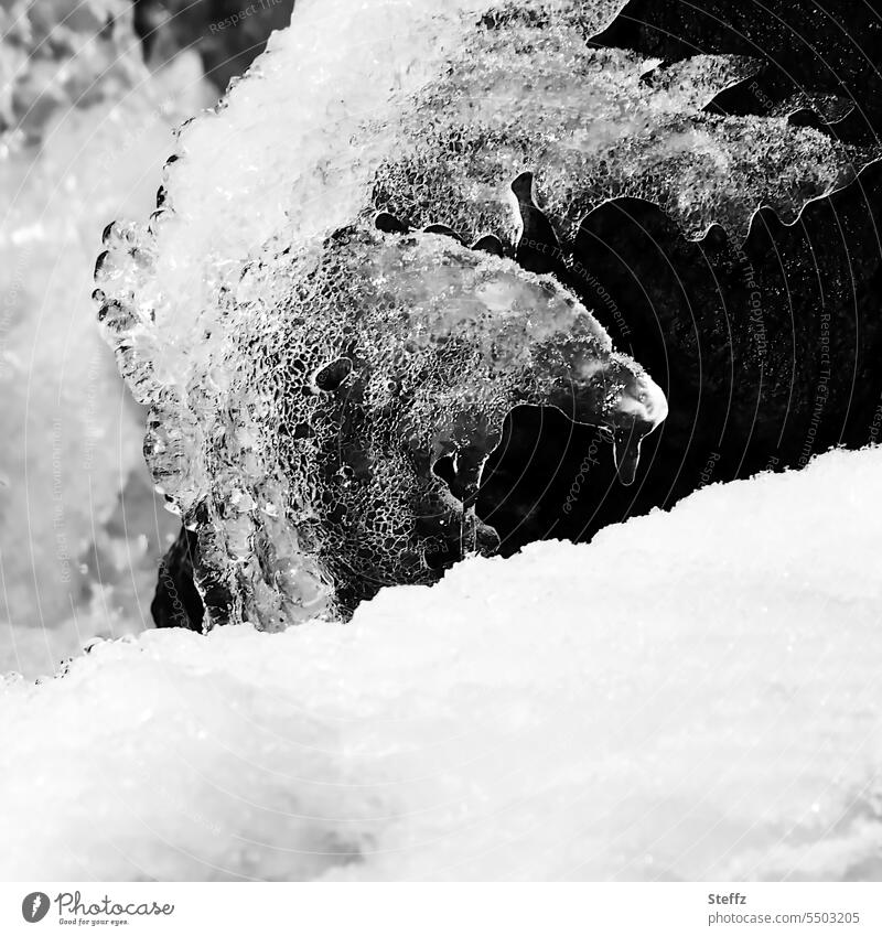 Parallel world | a troll on Iceland Icelandic ice figure parallel world ice formation ice figures shape ice shape Frost Dripping iced Snow Snow layer