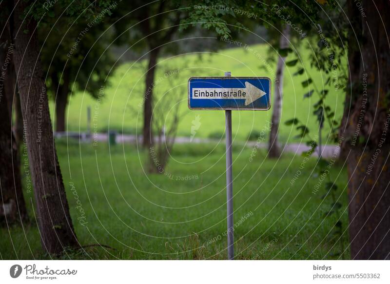 one-way street One-way street Road sign Signs and labeling Traffic infrastructure in the country Meadow trees rural scene