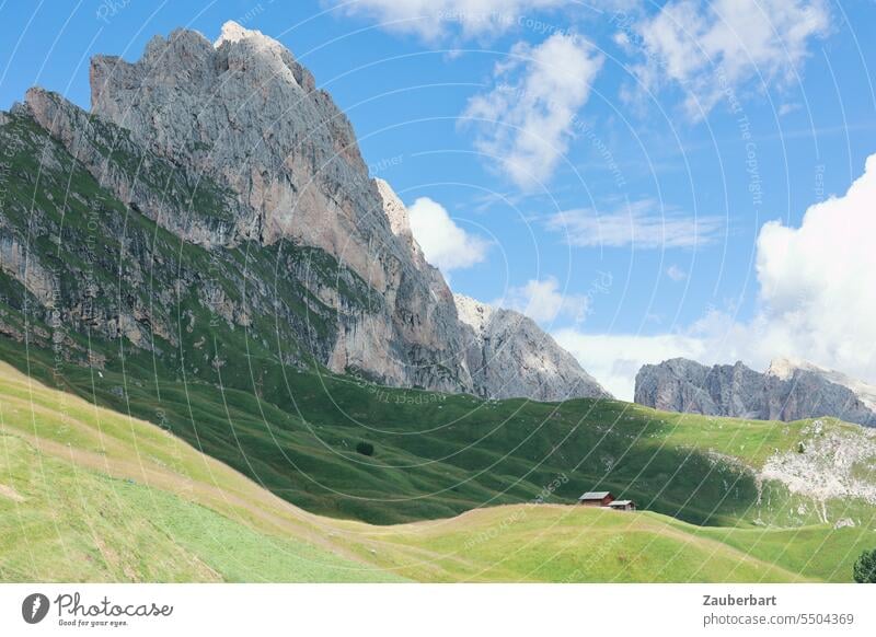 Mountain panorama, green meadow alp, sky with clouds mountain Alps Peak Clouds Green Landscape South Tyrol Hiking wanderlust Class outing Vantage point Nature