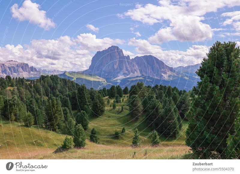 Mountain panorama, green meadow with trees, sky with clouds mountain Alps Peak Clouds Green Landscape South Tyrol Hiking wanderlust Class outing Vantage point