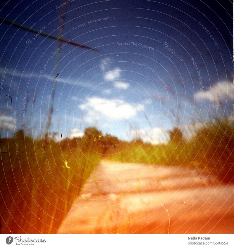 Footbridge through High Fens Analog Analogue photo Colour pinhole Wood Grass Green Sky Blue cloud High venn hike Nature Exterior shot Landscape Hiking Eifel