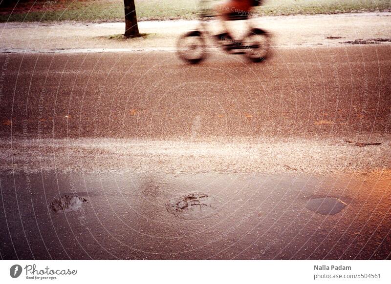 Some snow, some icy puddle, some tree, some bike, some road Analog Analogue photo Colour off Ice Tree Park Bicycle Wheel Morning Cold Snow Vondelpark