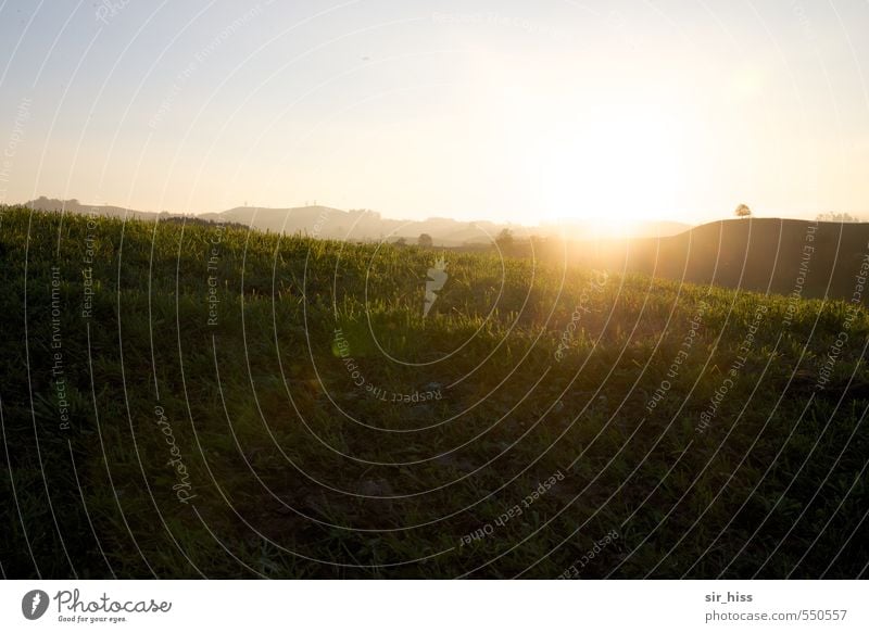 translucent Landscape Sky Cloudless sky Sunrise Sunset Beautiful weather Park Meadow Hill Mountain Peak Brown Yellow Gold Green Safety (feeling of)