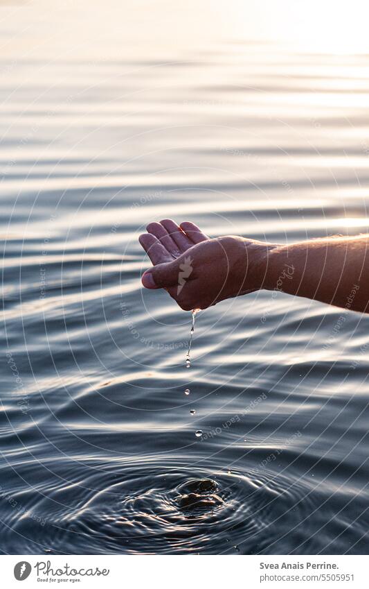 Hand in water Water Aquatics Drops of water clear water Lake Lakeside Summer Sports Exterior shot Relaxation Leisure and hobbies Nature Vacation & Travel