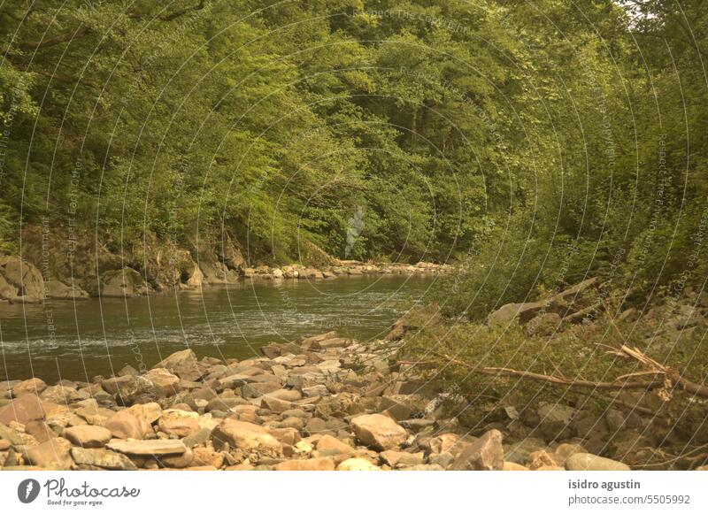 river between mountains rivver nature paz aguas tranquilidad verde arboles parque turistico sin gente belleza natural baño pesca Exterior shot Blue Sky