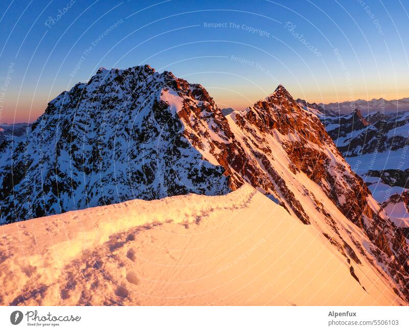 border | national border Mountaineering Monte Rosa Peak Exterior shot Rock Glacier Alps Snowcapped peak Climbing Adventure Panorama (View) Colour photo Nature