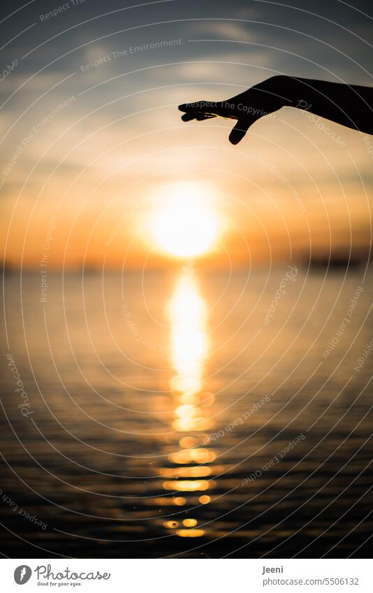 warming | sunlight within reach Sunlight reflection Water Sunset Ocean Light Summer Sky Horizon Vacation & Travel Reflection Beach Hand Grasp To hold on Evening