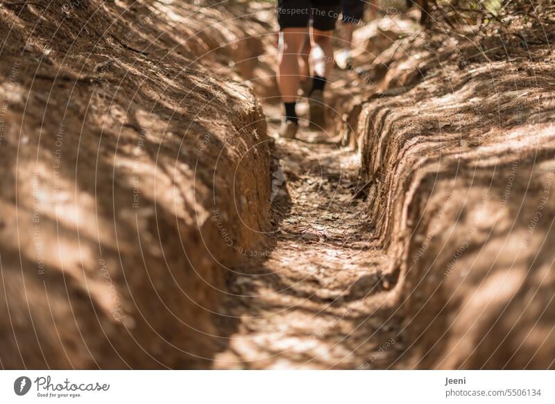 Hiking on narrow paths hike Landscape Vacation & Travel Mountain Nature Lanes & trails Trip Human being Man hikers Legs outdoor Sand Stone Dry Summer Discover