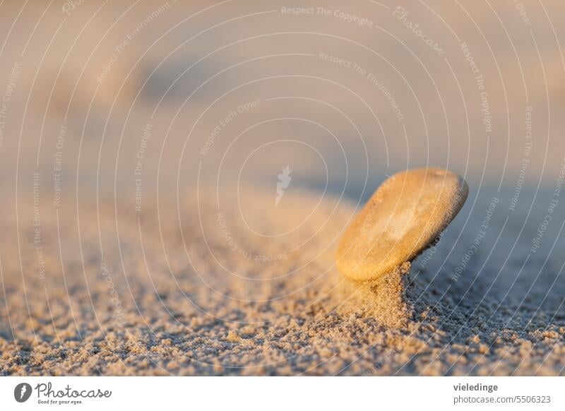 Stone on the beach Sand Sandy beach Sun sunshine Abstract tranquillity pebble Pebble Close-up unpeopled Light Shadow blurriness Colour photo Beach Exterior shot