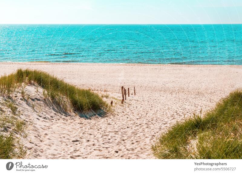 Landscape with the beach and North Sea, on Sylt island, Germany autumn background beautiful beauty blue bright coast coastline color dunes empty environment