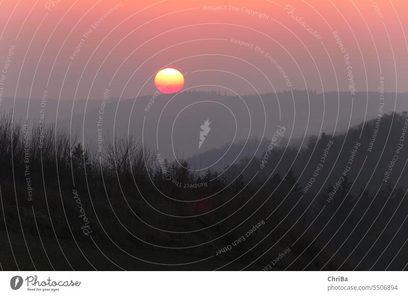 Sunset over the woods Sun Ball Pink Red luminescent Light Landscape pile Sky Nature Sunlight Evening Sunrise Twilight Summer Colour photo Deserted Back-light